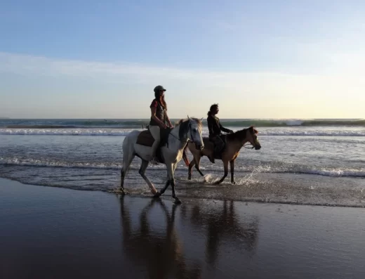 horse riding tenerife, beach horse riding tenerife