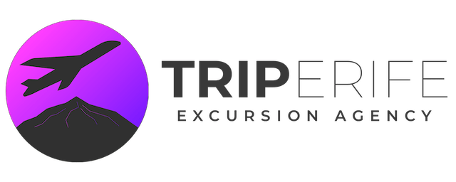 Triperife Excursions Tenerife