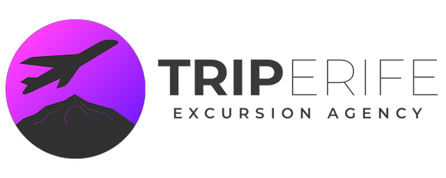 Triperife Excursions Tenerife